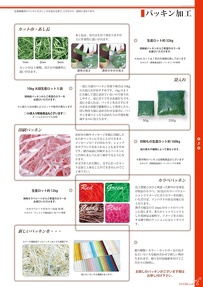 オーセロ総合カタログ2006改：P5