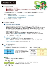 オーセロフレッシュ2011：P2