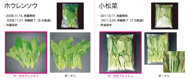 オーセロフレッシュ：鮮度保持テスト例（ホウレンソウ・小松菜）