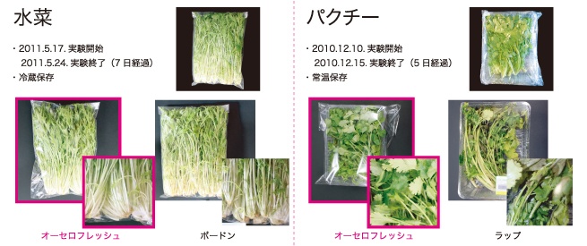 オーセロフレッシュ：鮮度保持テスト例（水菜・パクチー）