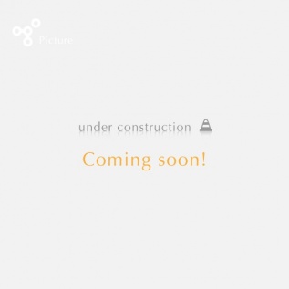 ムーンラップ：素材感裏