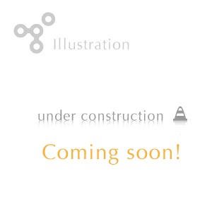 シングルカラーデコラ：コメント印刷