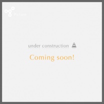 シングルカラーデコラ：商品形態