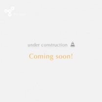 ナチュラルクリスマスセット：ウールヤーン・ヒイラギ＆ベルアップ