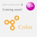 レースバッグ：チョコ裏