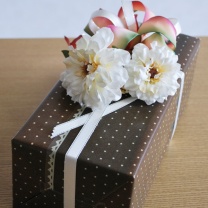 OOピンドットロール：イメージ2