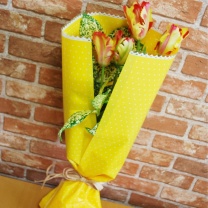 OOピンドットロール：イメージ3