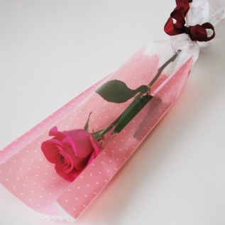 OFHピンドットバッグ：イメージ