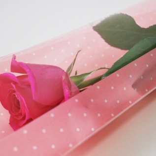 OFHピンドットバッグ：柄アップ