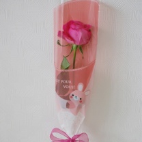 OFHラパンバッグ：イメージ1