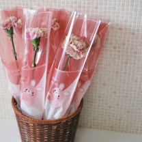 OFHラパンバッグ：イメージ2