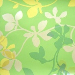 インポートペーパー：ヤングリーフ