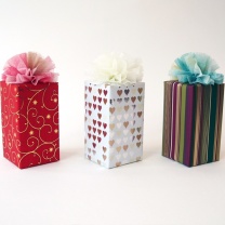 インポートペーパー：イメージ1