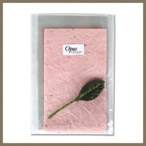 すえひろセット：商品形態