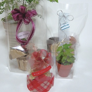 オーセロパック：イメージ1