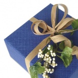 ネイチャー：オーシャン