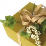 ネイチャー：アンバー