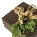 ネイチャー：アース