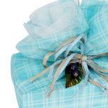 ファミリア：アクア