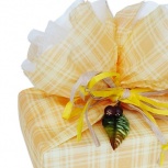 ファミリア：オレンジ