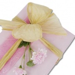 新はなやぎ：さくら