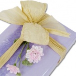 新はなやぎ：ききょう