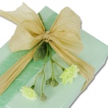 新はなやぎ：あさぎ