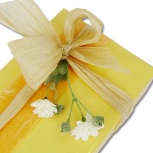 新はなやぎ：たちばな