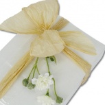 新はなやぎ：ゆり