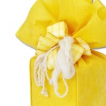 チアー：オレンジ