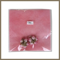 デュオプチシートセット：商品形態