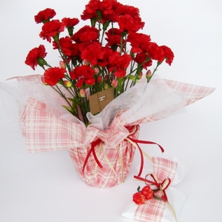 マザーズファミリア：イメージ1