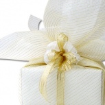 ファイン：アイボリー