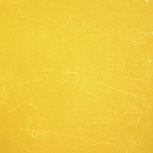 パステルシート：カラシ