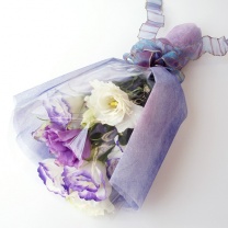 デュオシート：イメージ3