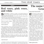 デザインフィルムシート：リーフタイムズ/チャコール