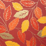 インポートペーパー：オチバ