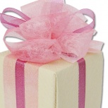 ニューダブルリボン：ナデシコ