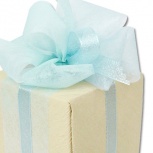 ニューダブルリボン：ソーダ