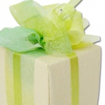 ニューダブルリボン：ライム