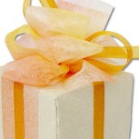 ニューダブルリボン：パッション