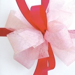 ダブルリボン：ナデシコ