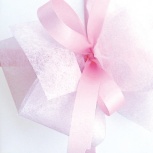 ダブルリボン：チェリー