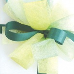 ダブルリボン：ライム