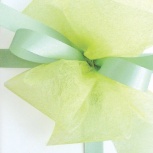 ダブルリボン：メロン