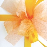 ダブルリボン：パッション