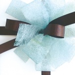 ダブルリボン：ヒイラギ