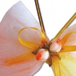 イージーリボン：Pパッション