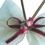 イージーリボン：Pヒイラギ