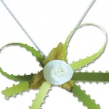 イージーリボン：Sライム